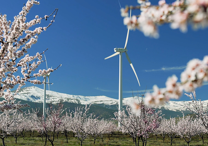 Foto Iberdrola presenta a Naciones Unidades el Plan de Transición Climática acelerado.